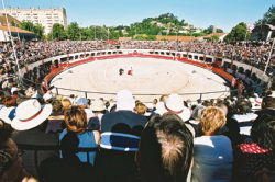 les Arènes d'Alès